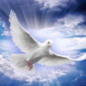 Już po raz piąty Msza wotywna o Duchu Świętym czwartek 25.05. 2017 godz.19.30